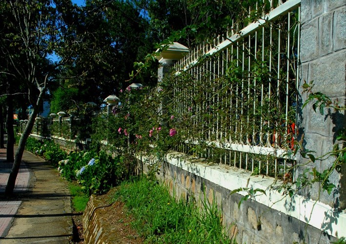 Trang trí hàng rao đẹp Trang trí hàng rao đẹp 1