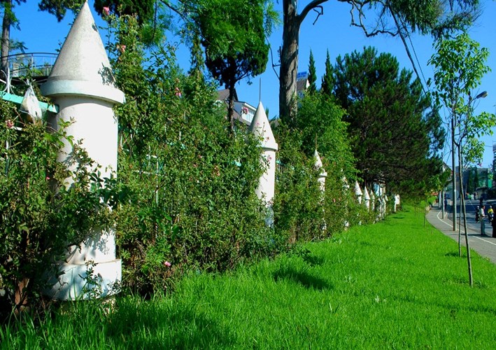 Trang trí hàng rao đẹp Trang trí hàng rao đẹp 3