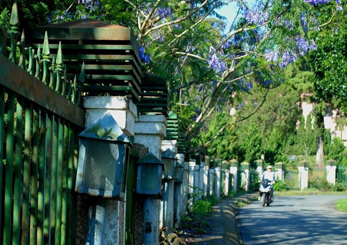 Trang trí hàng rao đẹp Trang trí hàng rao đẹp 7